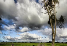 关于公牛不断突破！，德约科维奇连续十二场比赛得分超过锐不可当气势如虹延续的信息